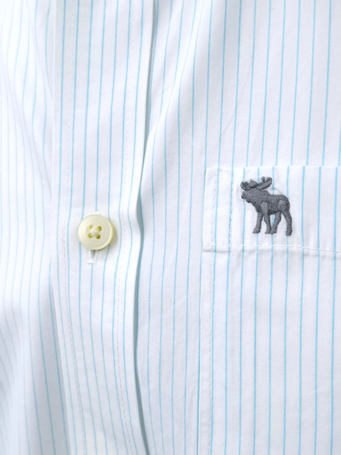 Abercrombie & Fitch - [L]