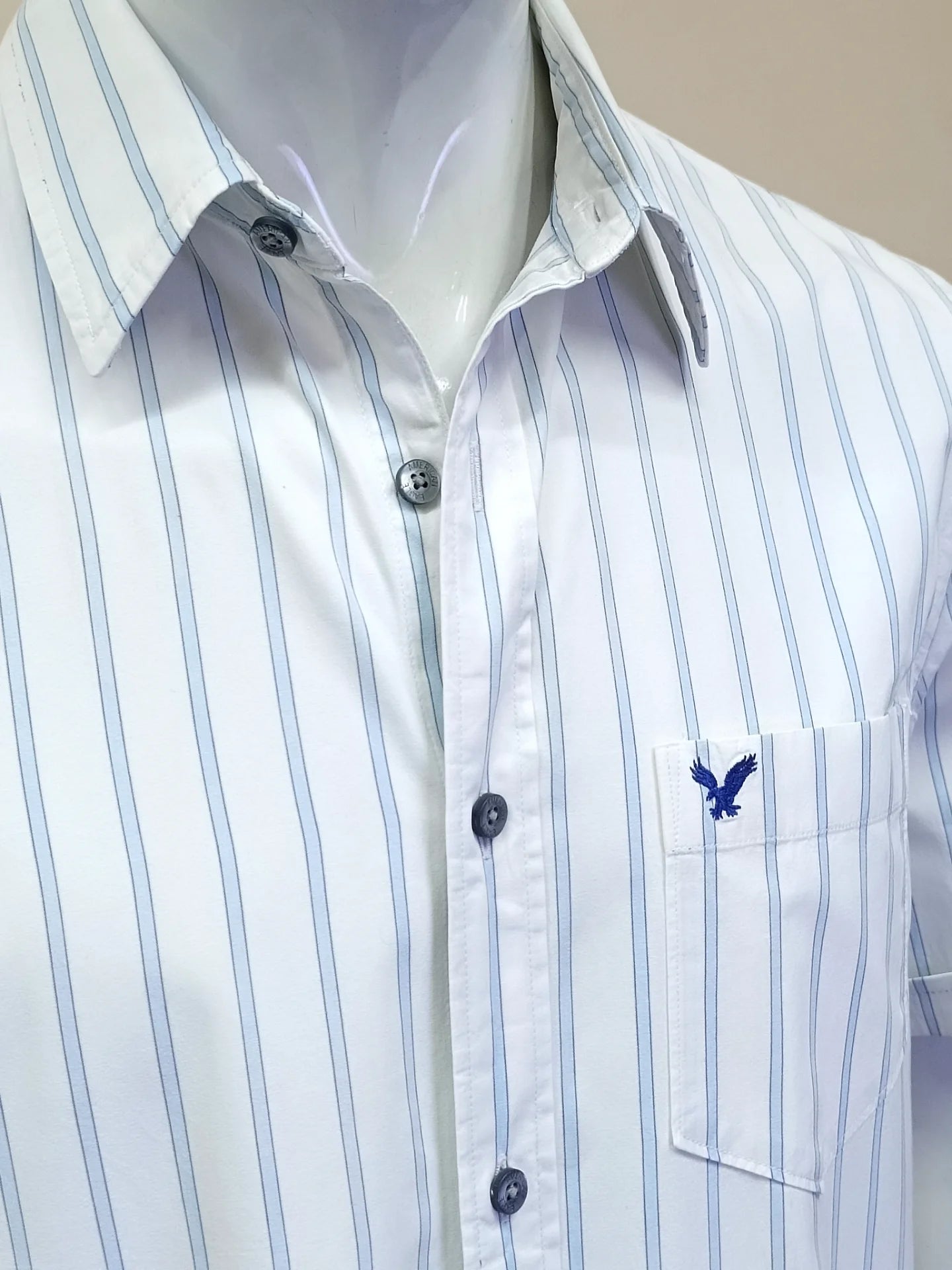 American Eagle - [L]