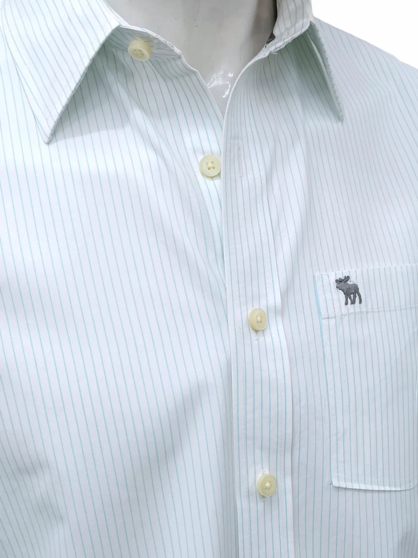 Abercrombie & Fitch - [L]