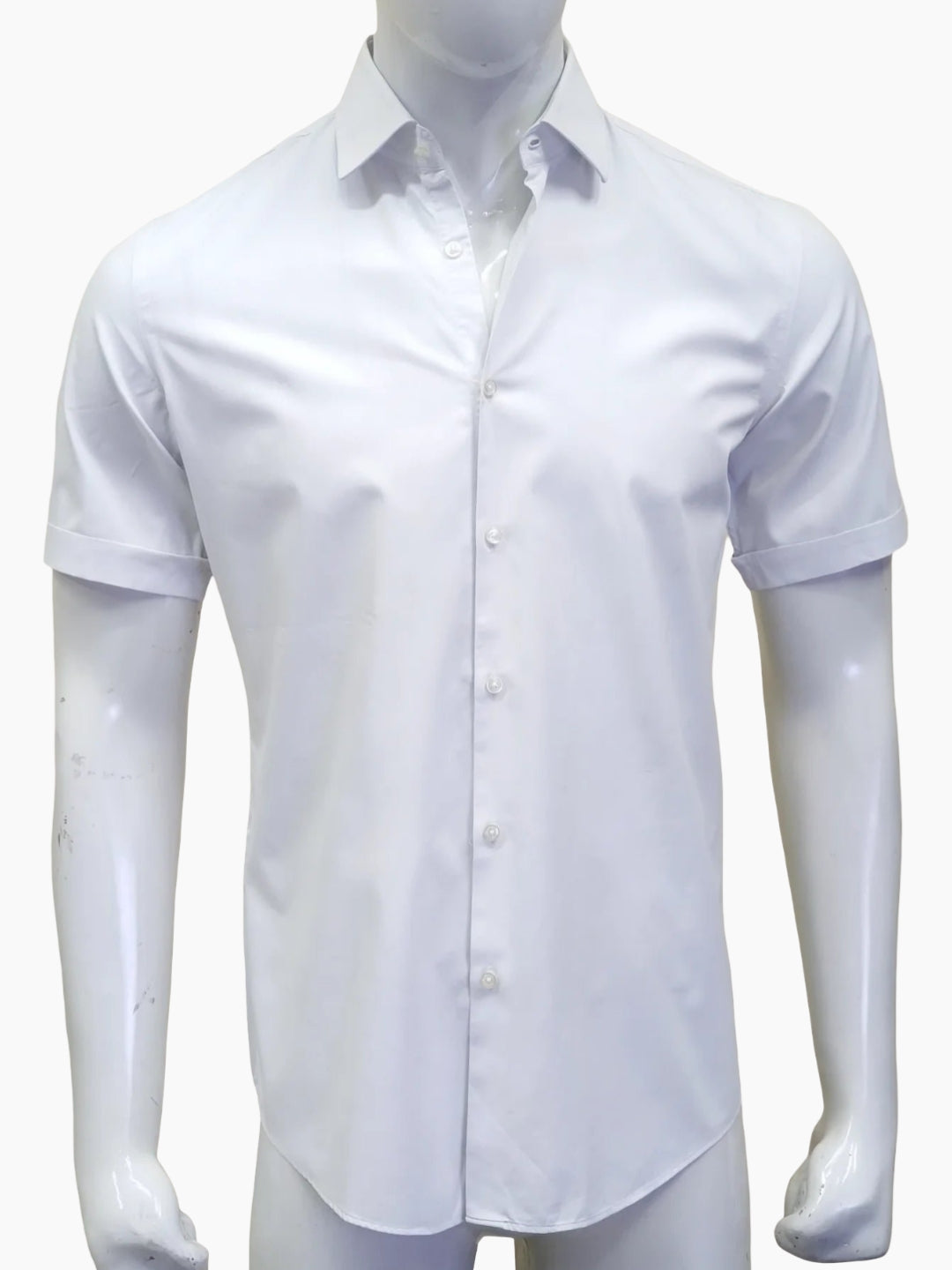 Cedarwood State - [15.5]