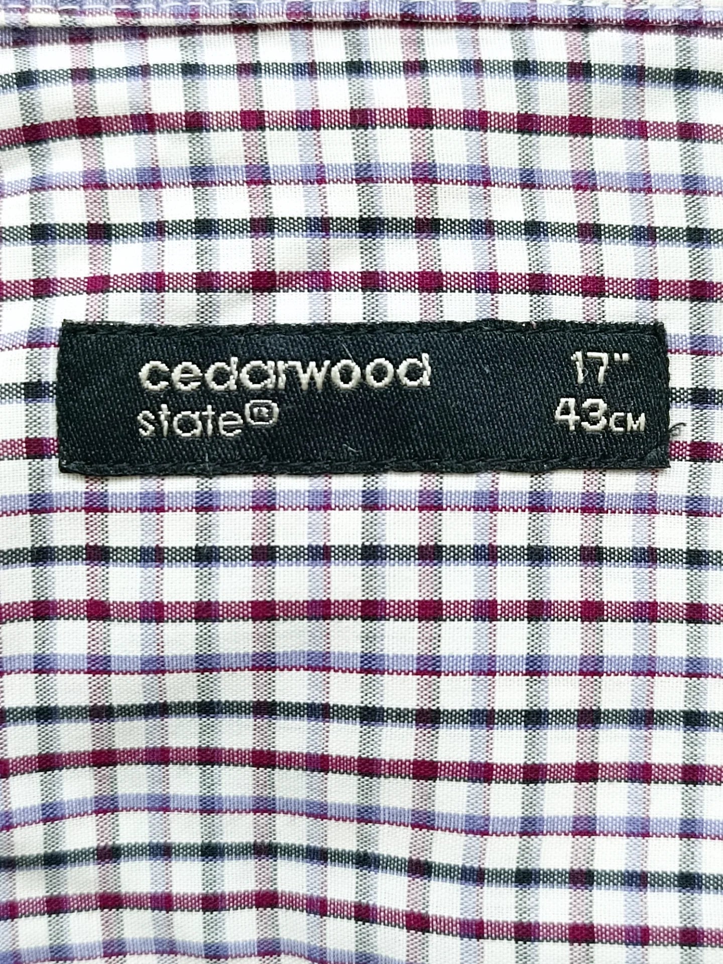 Cedarwood State - [17]